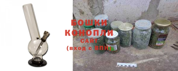 ECSTASY Липки