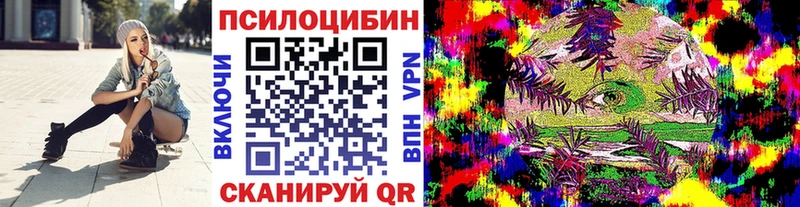 Купить  Заводоуковск  Галлюциногенные грибы мухоморы 